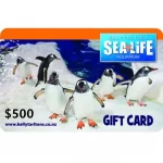 Kelly-Tarltons-500-NZD-Physical-Gift-Card-Express-Delivery-2.jpg
