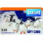 Kelly-Tarltons-30-NZD-Physical-Gift-Card-Express-Delivery-1-1.jpg